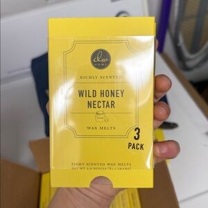 DW Home Wild Honey Nectar case of 3 Wax Melts